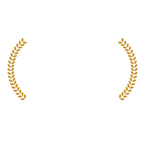 Hoogste slagingspercentage 2023