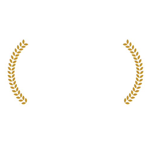 Hoogste slagingspercentage 2024