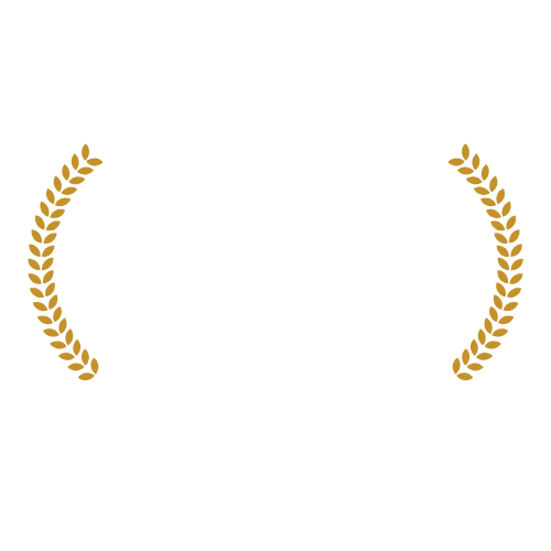 Hoogste slagingspercentage 2022